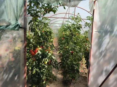Casa de vanzare in sat Novaci â€“ teren de p865 mp, acces asfaltat,Ocazie! - foto 18
