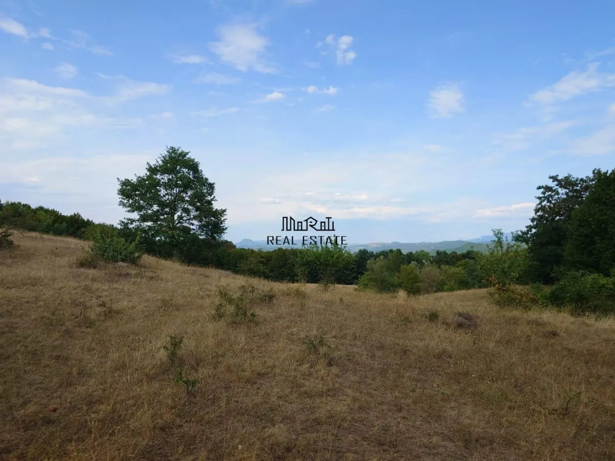 Teren 9.059 mp la liziera padurii, cu priveliste spre Apuseni - foto 2