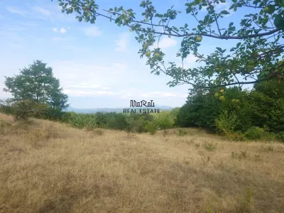 Teren 9.059 mp la liziera padurii, cu priveliste spre Apuseni - foto 13