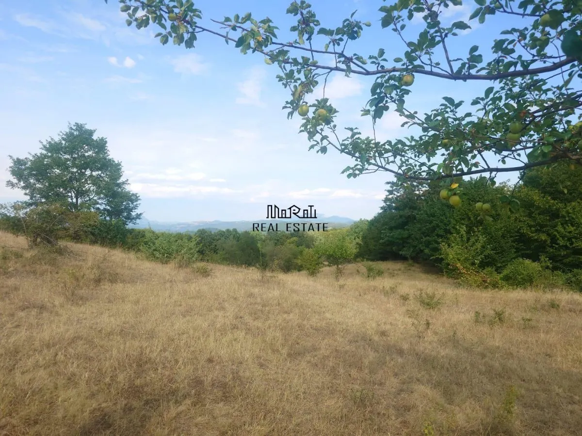 Teren 9.059 mp la liziera padurii, cu priveliste spre Apuseni - foto 13