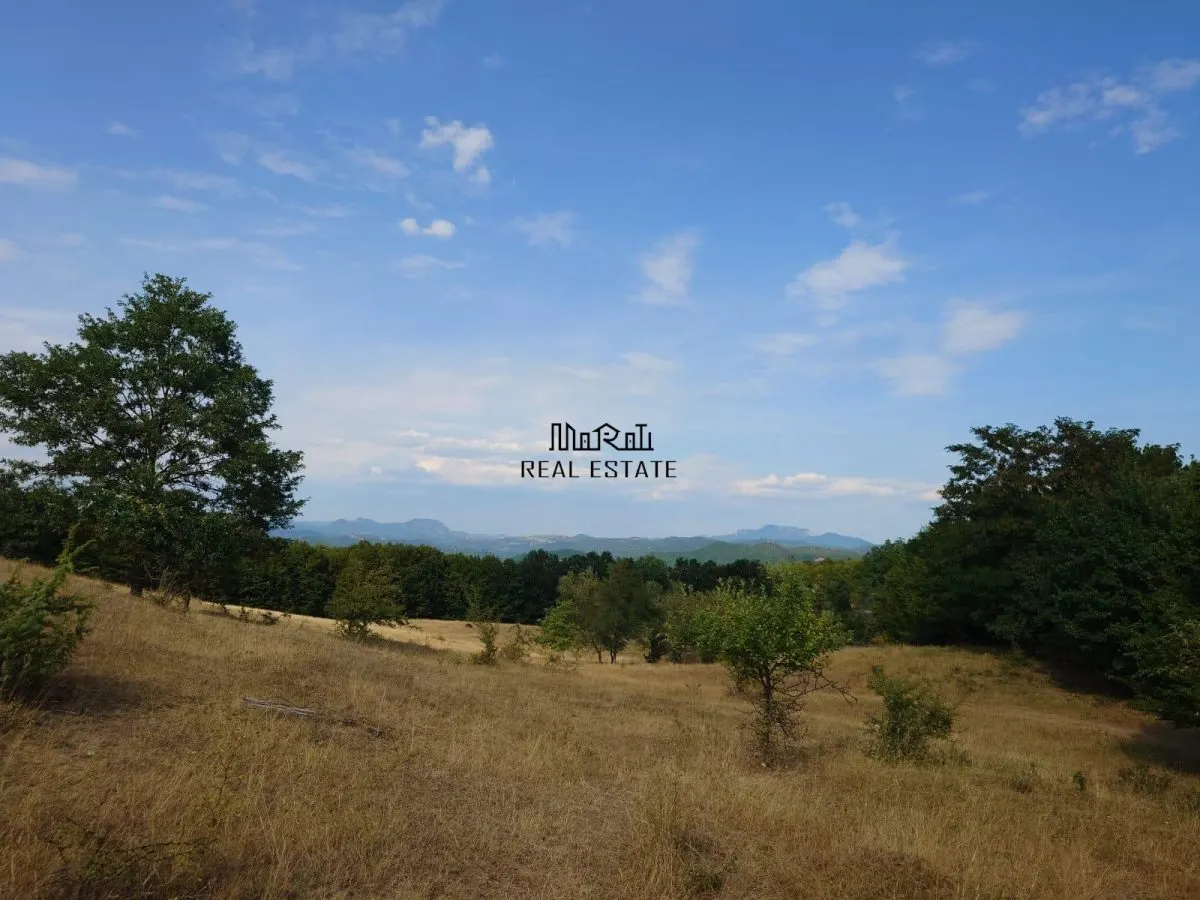 Teren 9.059 mp la liziera padurii, cu priveliste spre Apuseni - foto 14