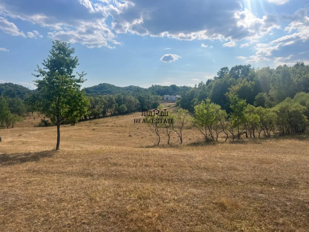Teren 9.059 mp la liziera padurii, cu priveliste spre Apuseni - foto 15
