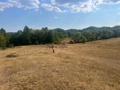 Teren 9.059 mp la liziera padurii, cu priveliste spre Apuseni - foto 16