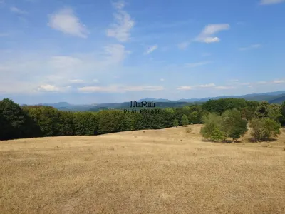 Teren 9.059 mp la liziera padurii, cu priveliste spre Apuseni - foto 3