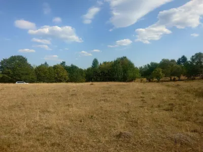 Teren 9.059 mp la liziera padurii, cu priveliste spre Apuseni - foto 4