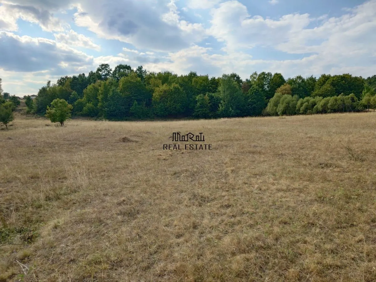 Teren 9.059 mp la liziera padurii, cu priveliste spre Apuseni - foto 5