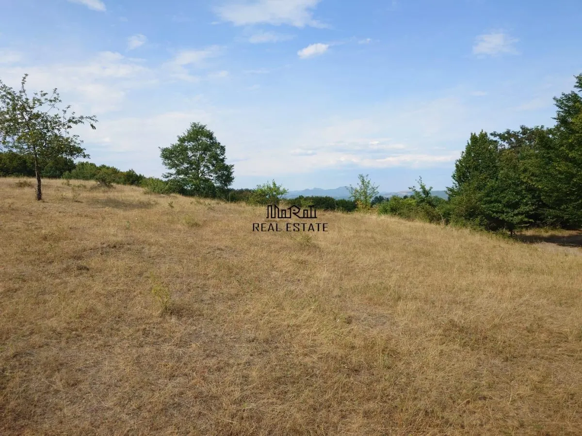Teren 9.059 mp la liziera padurii, cu priveliste spre Apuseni - foto 6