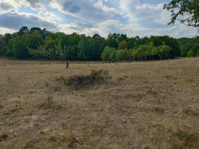 Teren 9.059 mp la liziera padurii, cu priveliste spre Apuseni - foto 8
