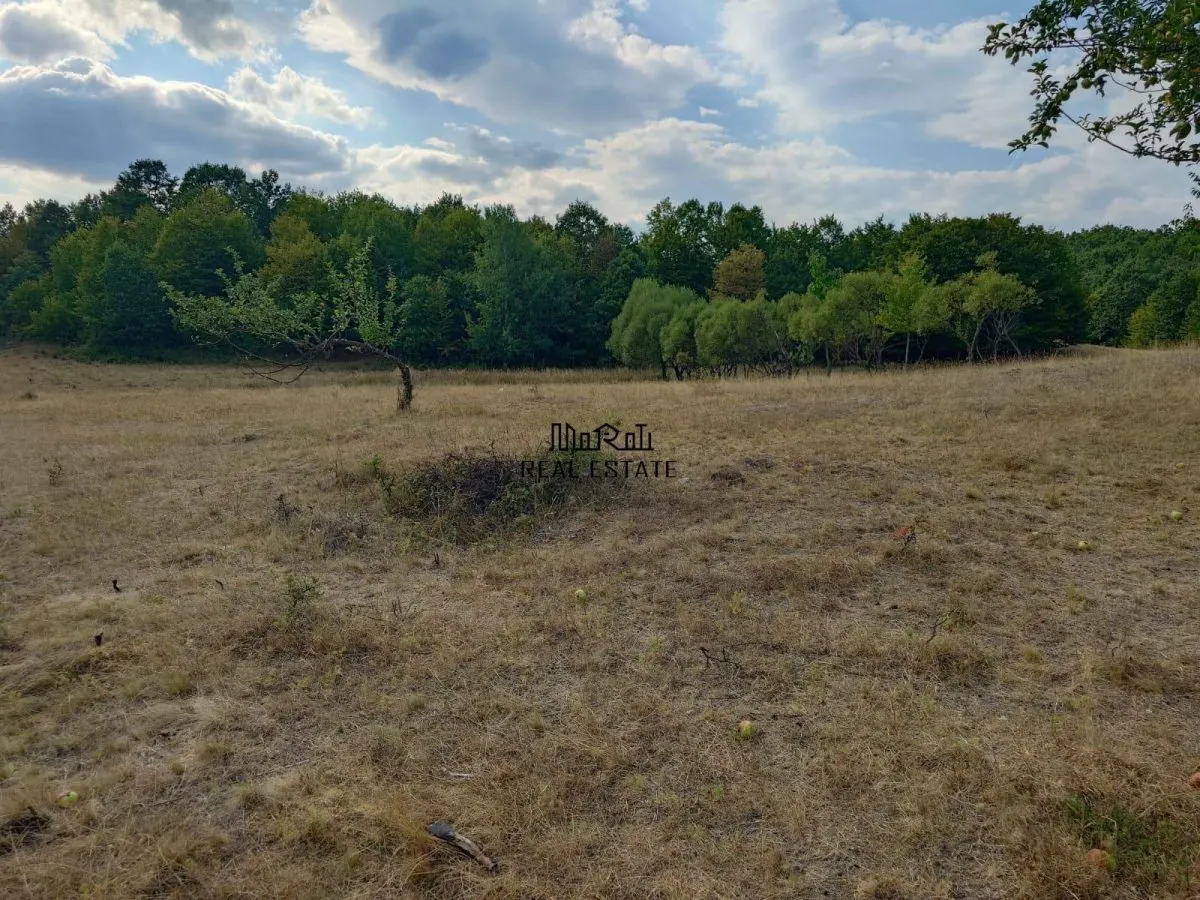 Teren 9.059 mp la liziera padurii, cu priveliste spre Apuseni - foto 8