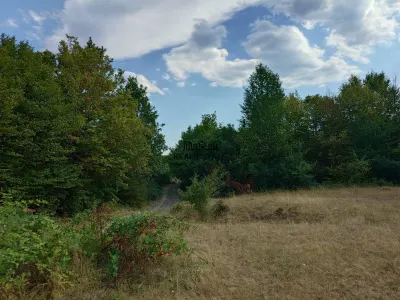 Teren 9.059 mp la liziera padurii, cu priveliste spre Apuseni - foto 9