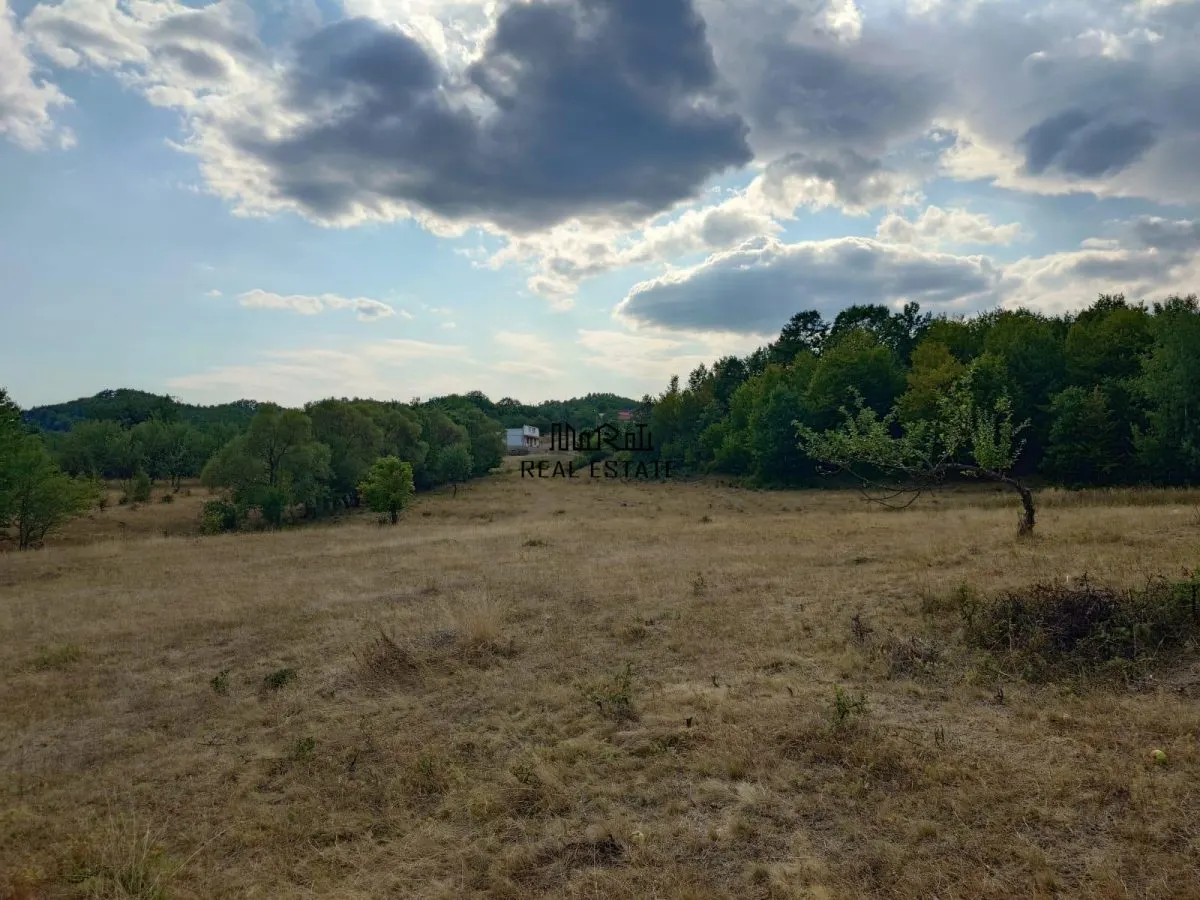 Teren 9.059 mp la liziera padurii, cu priveliste spre Apuseni - foto 10