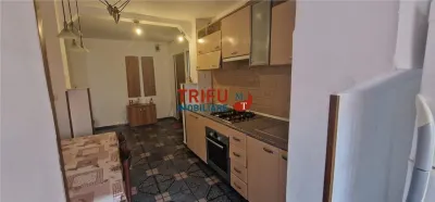 Apartament 2 camere de inchiriat zona  Mercur - foto 10