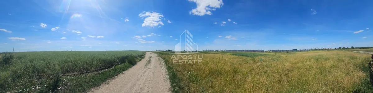 Teren extravilan,  39,600 mp, zona Gai - foto 2