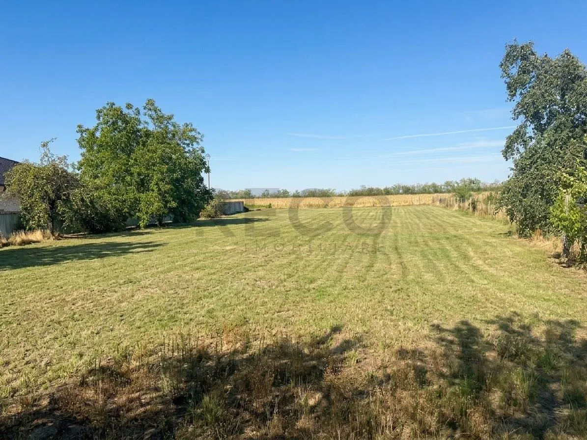 RECO Teren intravilan de vanzare in Gepiu â€“ 2.878 mp - foto 3