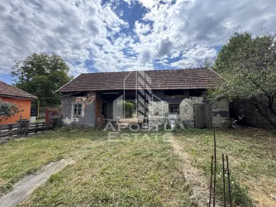 Casa batraneasca cu 3 camere si teren de 841mp, in Racastie, Hunedoara - foto 12