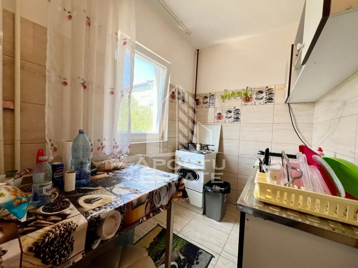 Apartament cu o camera de vanzare, zona Lipovei, Timisoara - foto 3