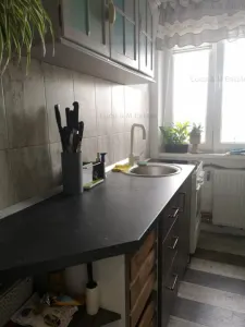 Apartament  1 camera  Universitate Politehnica/ Balcescu - foto 13