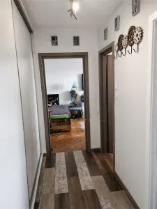 Apartament  1 camera  Universitate Politehnica/ Balcescu - foto 5