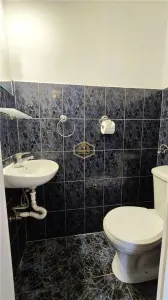 Central | Casa individuala cu 5 camere - 168 m² | Avram Iancu - foto 8