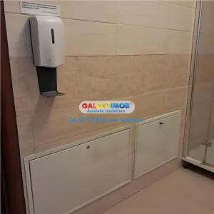 Inchiriere vila Piata Muncii - foto 11