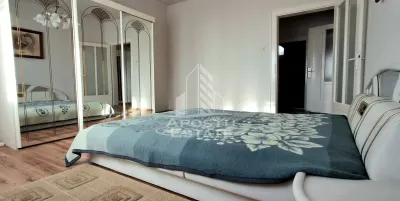 Casa Spatioasa cu Teren Generos in Vladimirescu - foto 8