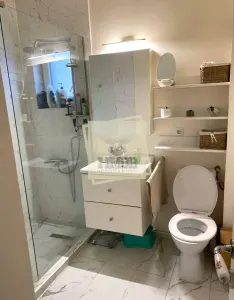 Apartament cu 3 camere si curte proprie zona Triajului - foto 5