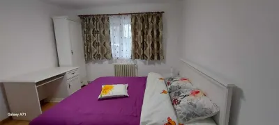 Apartament 2 camere decomandat â€“ Gara / Carrefour | Recent renovat | Mobilier și electrocasnice noi - foto 3