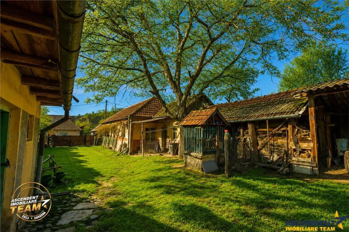FILM! Casa si anexe, pe domeniu de 6.221mp,  livada pomi fructiferi, Lemnia, Covasna - foto 20