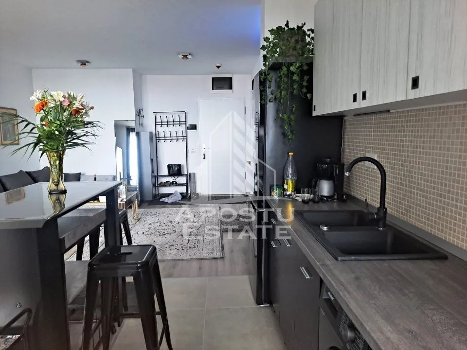 Apartament  cu 2 camere, open space, zona Take Ionescu (ISHO) - foto 3