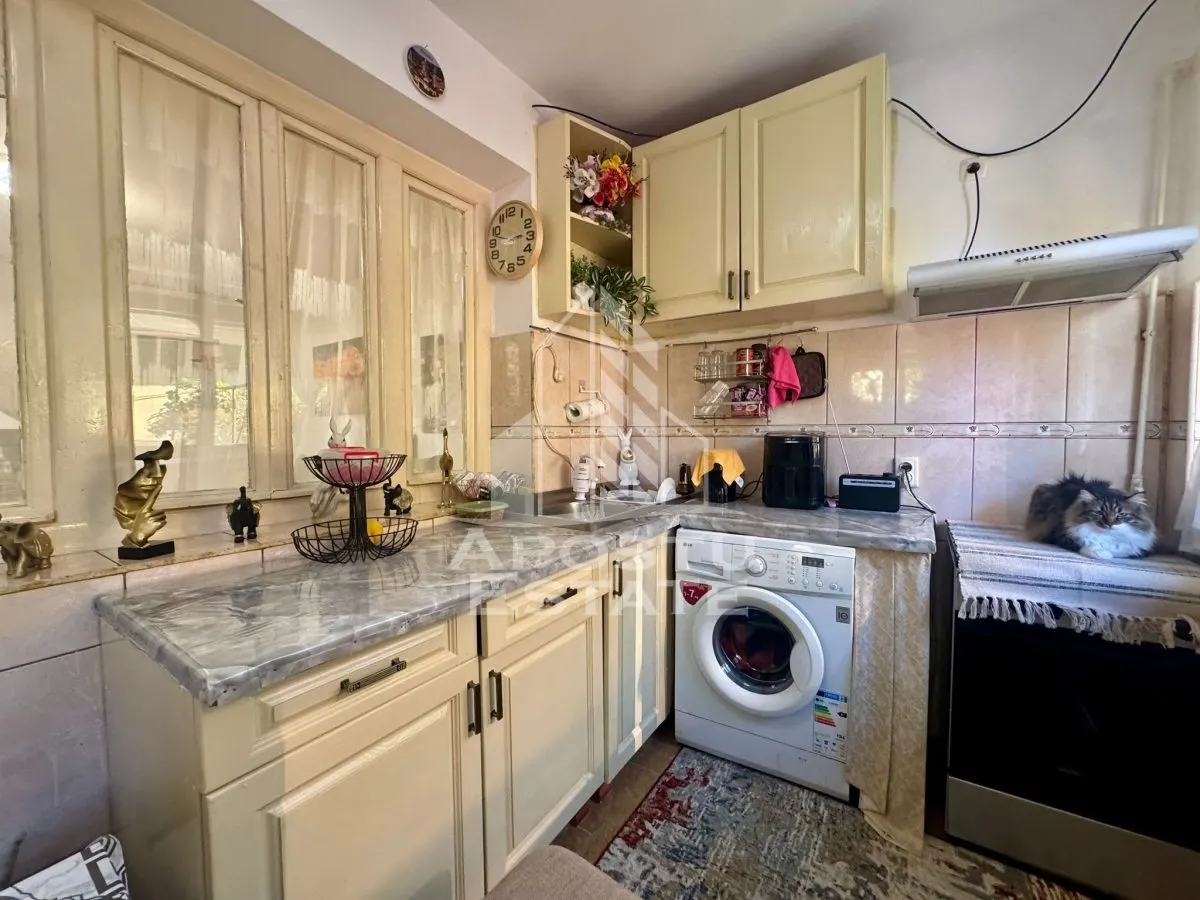 Apartament cu o camera la curte comuna, de vanzare,Iosefin,Timisoara - foto 4