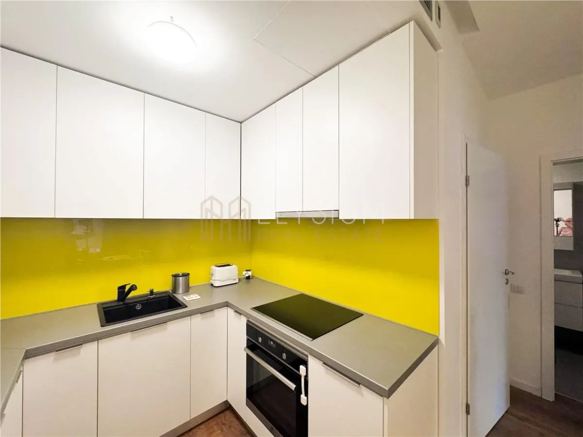 Apartament cu 2 camere de inchiriat Soseaua Nordului Herastrau - foto 11