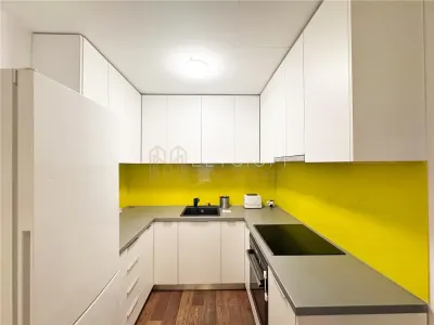 Apartament cu 2 camere de inchiriat Soseaua Nordului Herastrau - foto 10
