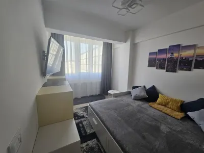 Apartament 1 camera Bucium - foto 3