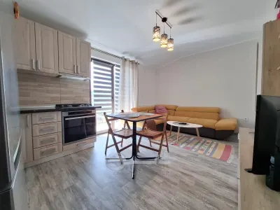 Apartament 2 camere Popas Pacurari Valea Lupului, mobilat complet, parcare inclusa - foto 3