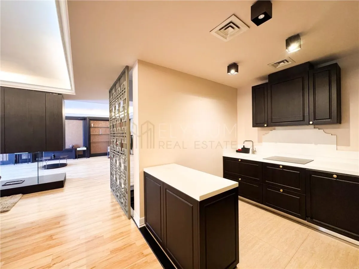 Apartament de inchiriat Triplex 4 Camere Herastrau North Area Lake View - foto 15