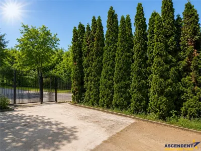 Corp de casa cu 3 camere, parcare in curte, Drumul Poienii, langa parcul Ina Schaeffler. - Brasov