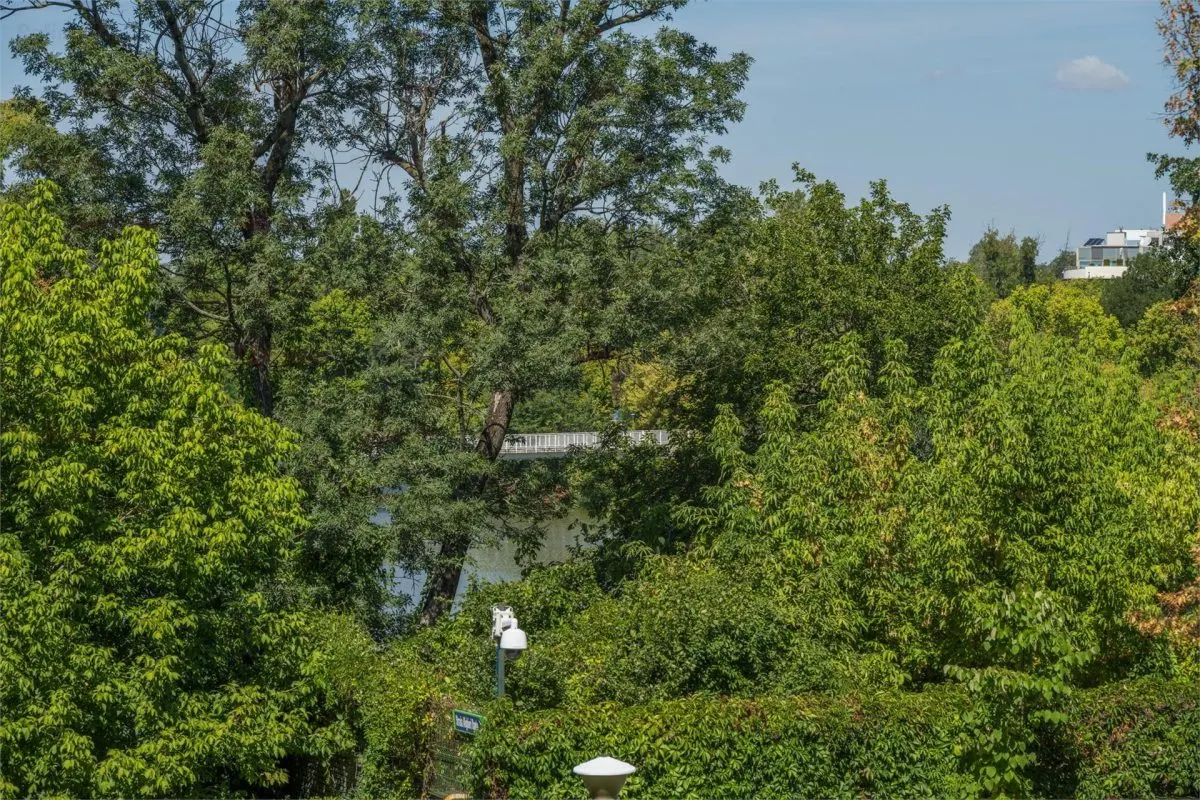 Vanzare apartament 4 camere | spectaculos | Primăverii | vedere la Lac | parcare subterană | 188mp utili | oferta unică | - foto 17