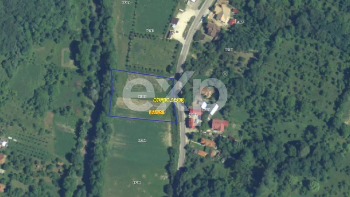 Teren intravilan la tara in Arges - 3.565 mp in comuna Boteni - foto 1