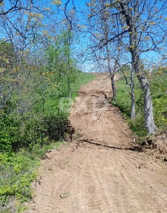 Vand Teren in Curtea de Arges suprafata 5000mp - foto 2