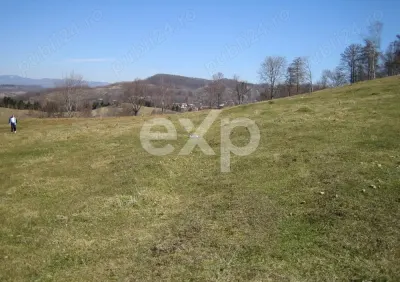 Vand Teren in Curtea de Arges suprafata 5000mp - foto 3