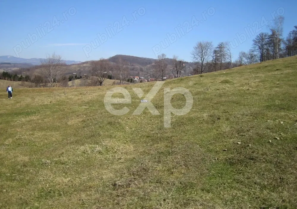 Vand Teren in Curtea de Arges suprafata 5000mp - foto 3