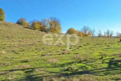 Vand Teren in Curtea de Arges suprafata 5000mp - foto 4