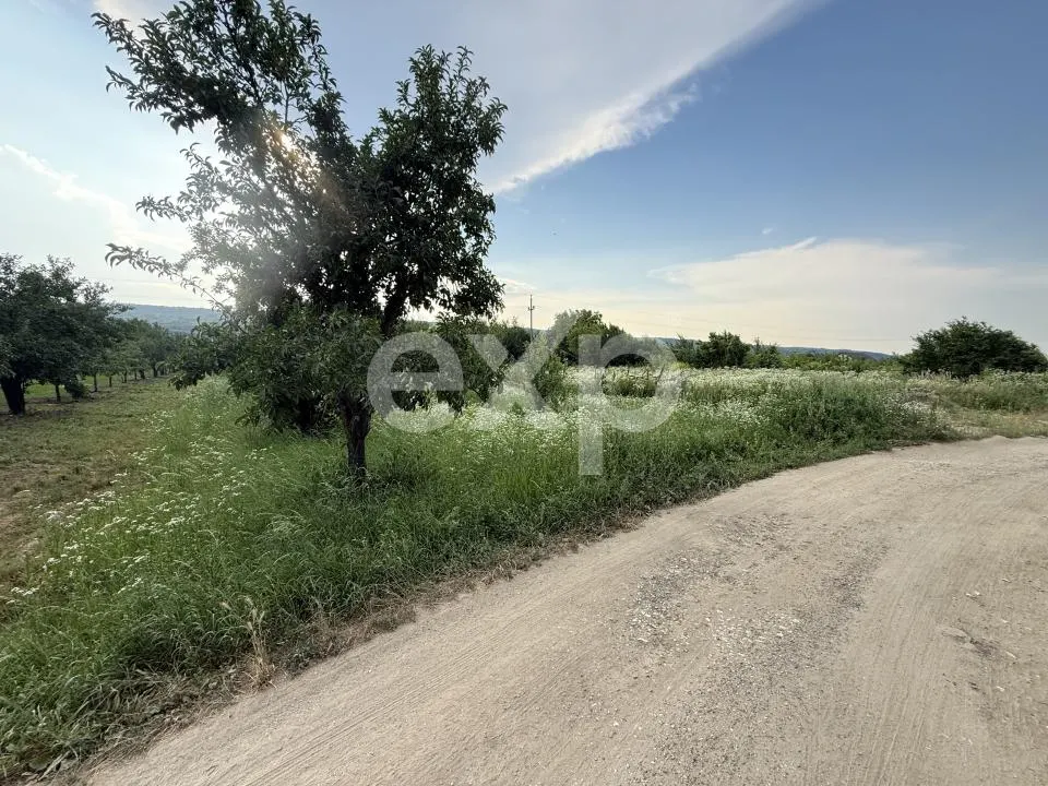 Teren de vânzare în Topoloveni | Zonă liniștită, aproape de oraș - foto 2