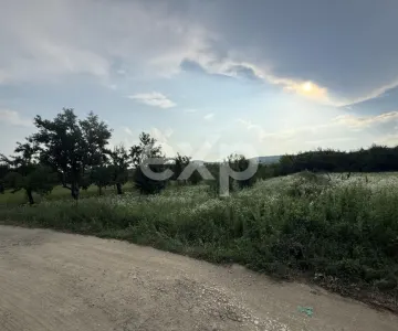 Teren de vânzare în Topoloveni | Zonă liniștită, aproape de oraș - foto 3