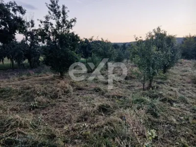Teren de vânzare în Topoloveni | Zonă liniștită, aproape de oraș - foto 3