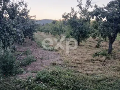 Teren de vânzare în Topoloveni | Zonă liniștită, aproape de oraș - foto 4