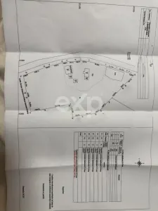 Refugiu la țară: casă cu 2 camere și teren de aproape 4.000 mp, Cocu - Cocu