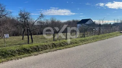 Refugiu la țară: casă cu 2 camere și teren de aproape 4.000 mp, Cocu - foto 4