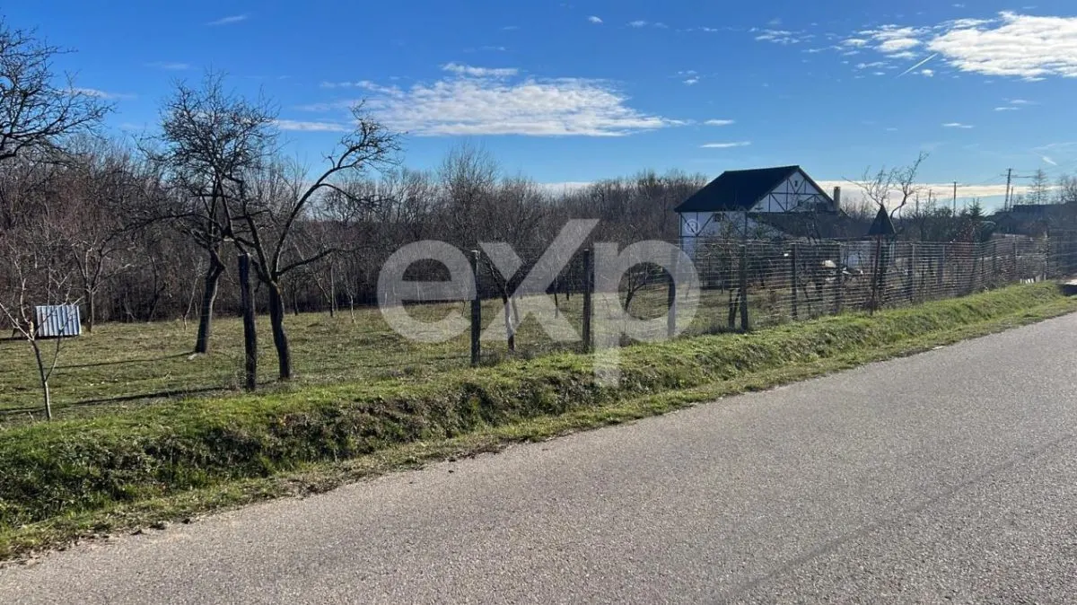 Refugiu la țară: casă cu 2 camere și teren de aproape 4.000 mp, Cocu - foto 4