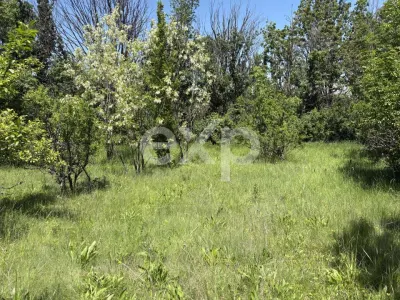 Teren 2.200 mp | 11 km de Pitești | Vanzare integral sau parcelă de 500 mp - Poiana Lacului